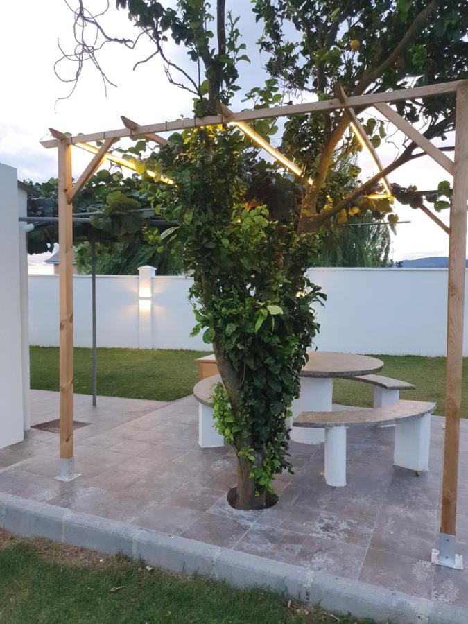 فيلا Casa Flor Delfin ريباديو المظهر الخارجي الصورة